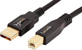 Amazon Basics USB 2.0 A-Male to B-Male cable with Gold-plated connectors (3  m/10 Feet) : Amazon.co.uk: Computers & Accessories